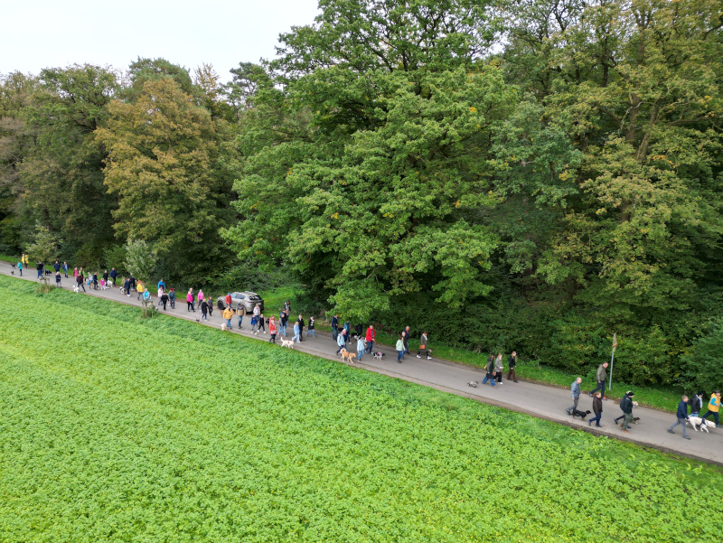 Herbstsp3