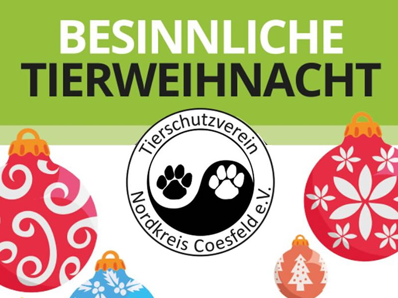 HP TSV-Cosefeld-Plakat-WEB-Website_News-Bild_1a