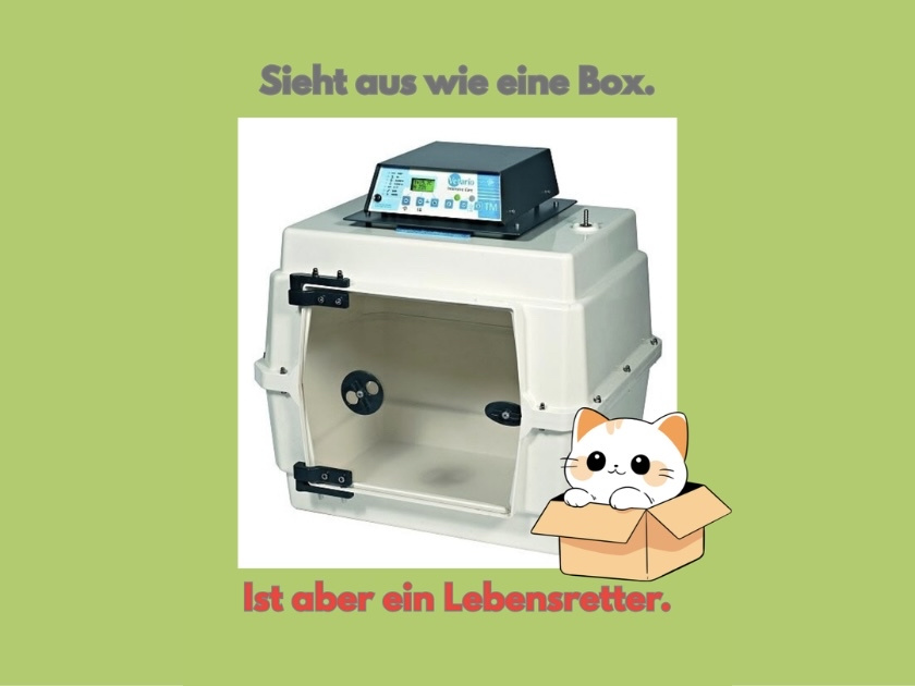 Inkubator
