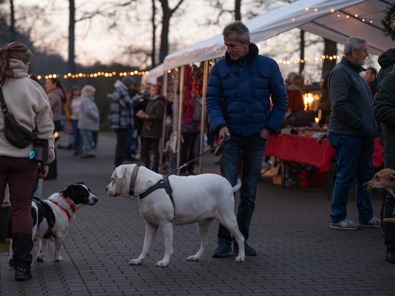 Tierweihnacht 2025