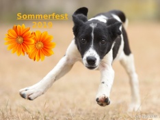 Sommerfest