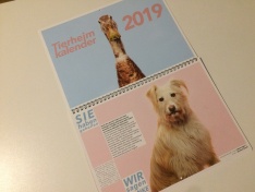 Kalender 2019