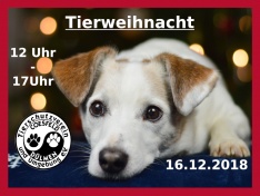 Tierweihnacht x 