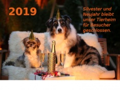 Silvester3