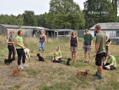 komm! Hundeschule