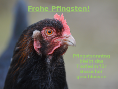 Pfingsten