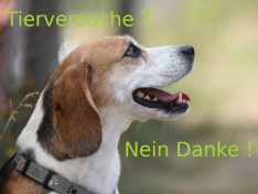 Tierversuche2