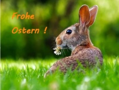 Osterhase2