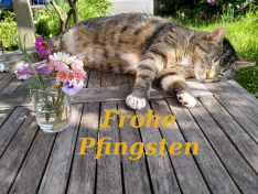 Pfingsten