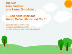 Bewerbung10