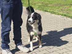 Bella