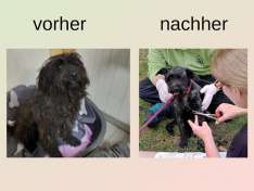 vorher nachher2