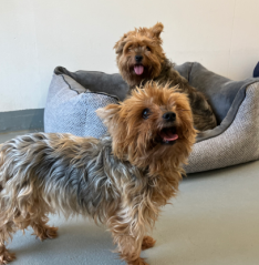 Screenshot 2025-10-28 155402 Screenshot 2025-10-28 155402