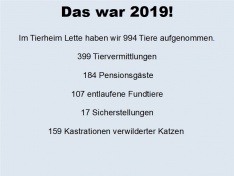 das war 2019 5