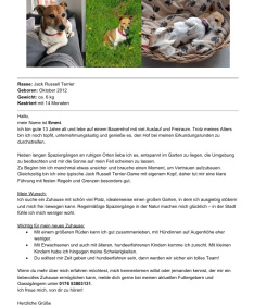 Bildschirmfoto_3-4-2026_83830_