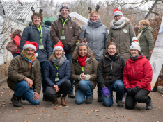 Weihnachtsgruß