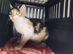 IMG-20260722-WA0019
