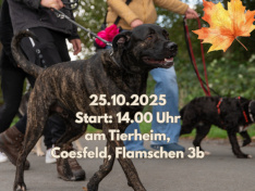 Herbst3 Herbst3