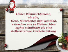 Weihnachtswunsch