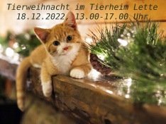 Tierweihnacht2