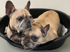 Screenshot 2025-11-28 152914